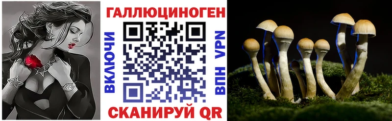 Псилоцибиновые грибы Magic Shrooms  наркота  Корсаков 